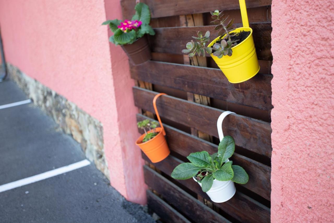 Casa Rural Ofelia ξενώνας Cudillero Εξωτερικό φωτογραφία